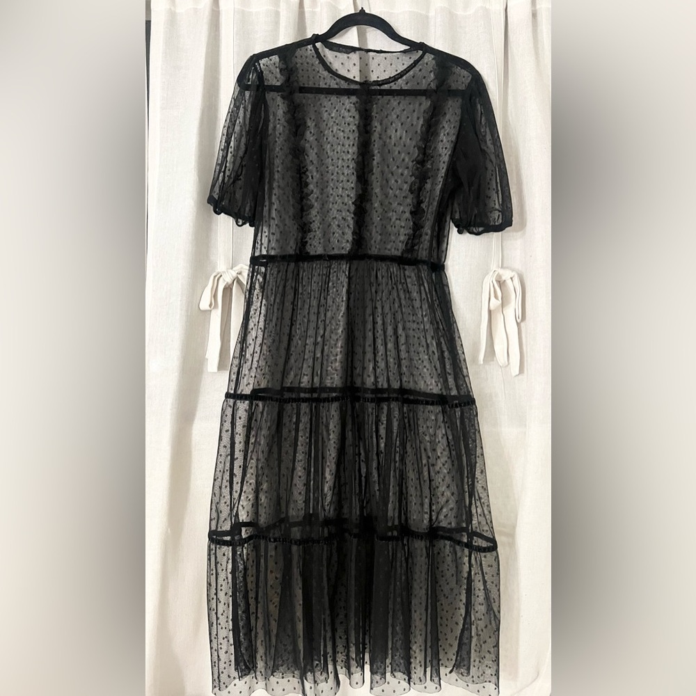 Elegant Black Sheer Dress